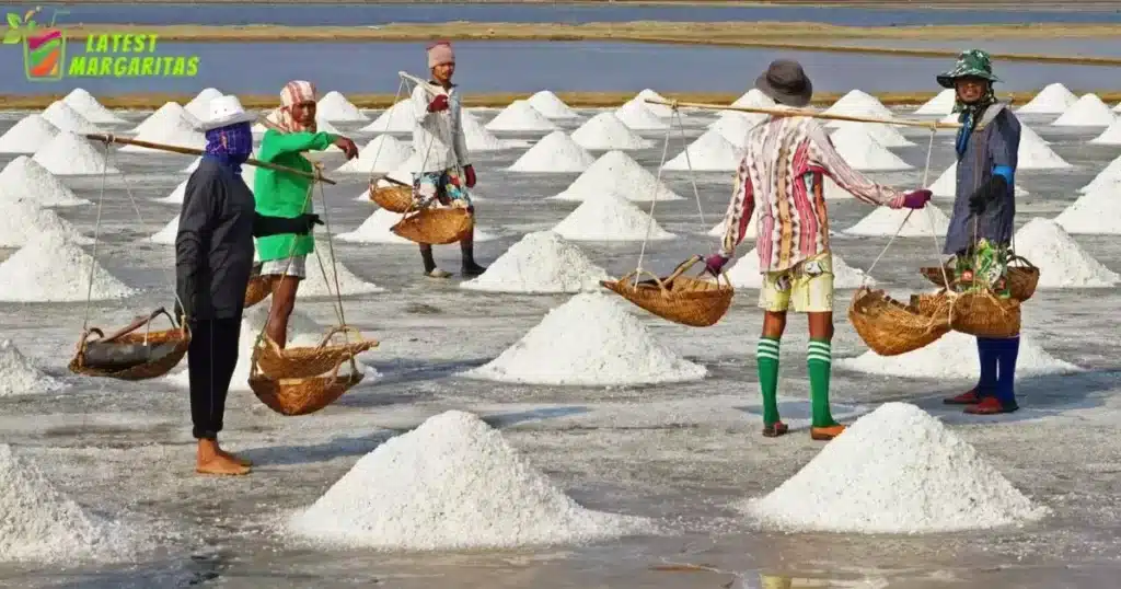 Sea Salt Harvesting Process