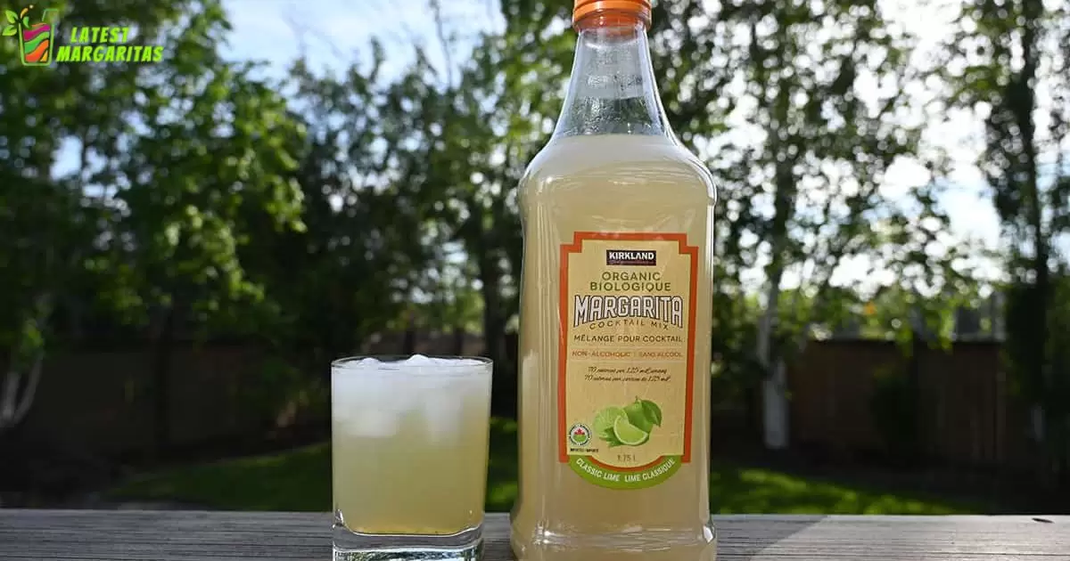 How To Make A Frozen Margarita With Kirkland Mix?