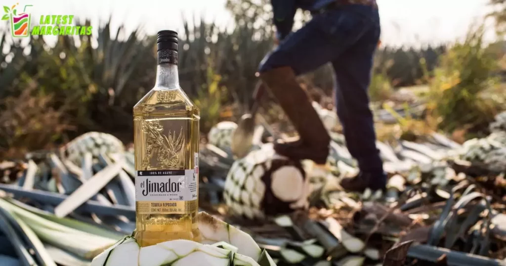 Why Important Of Tequila For Truly Margarita
