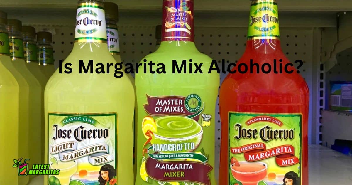 Is Margarita Mix Alcoholic?